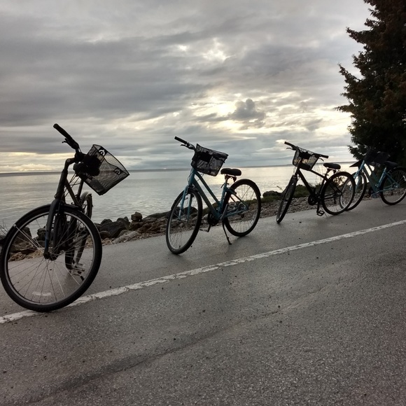 Meet your Posher, Roxy - Picture 3 of 4